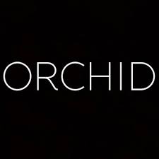 orchid-nightclub-toronto